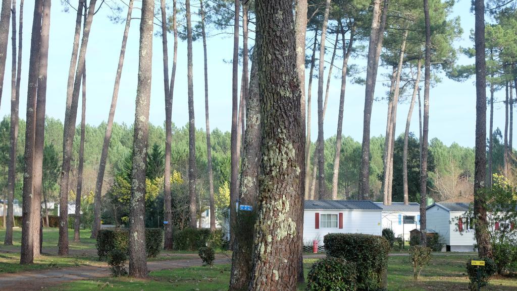 Officiel Siblu Les Dunes De Contis Camping Saint-Julien-en-Born